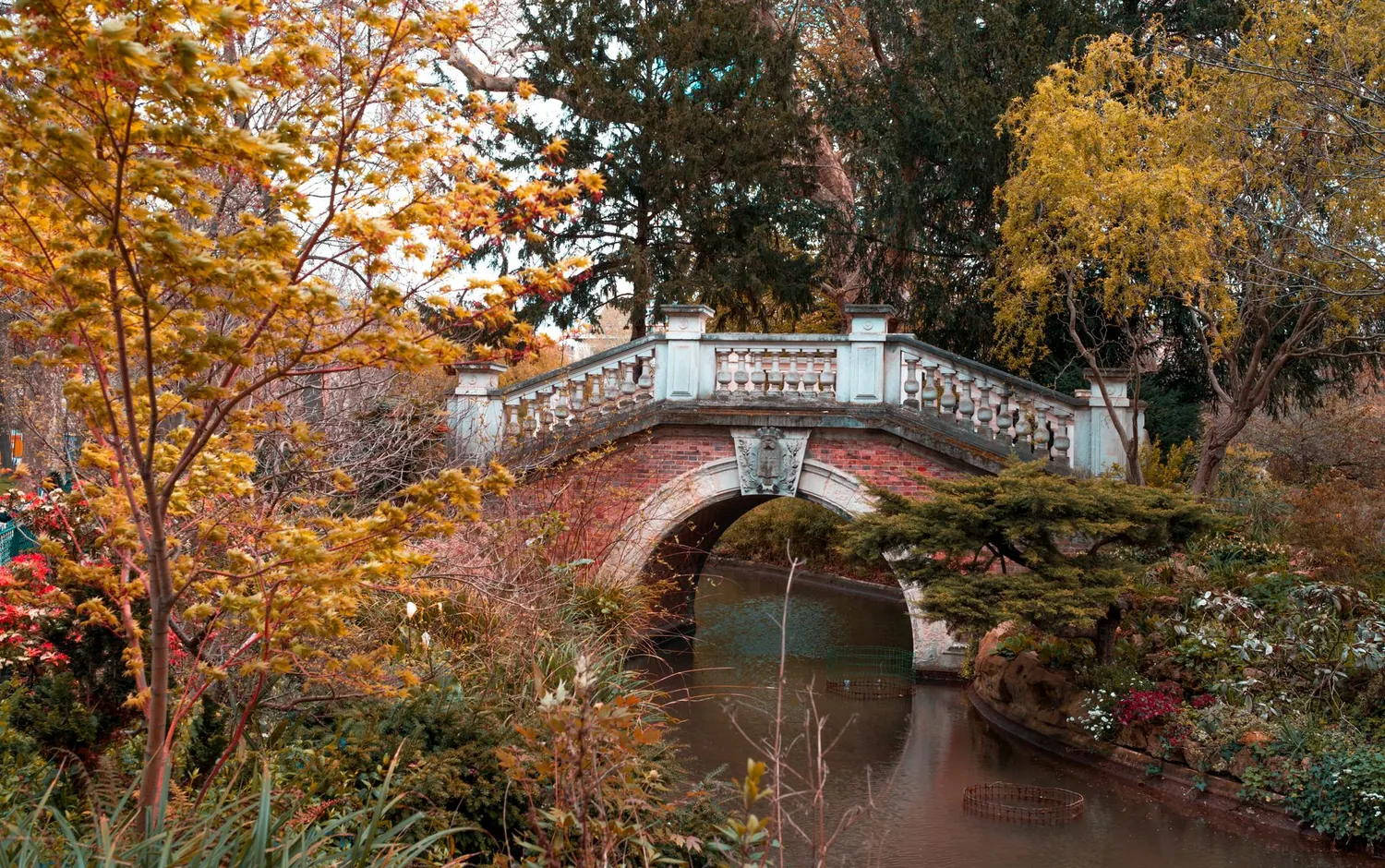 Koezio Cergy : le guide complet du parc d'aventure indoor du Val d'Oise